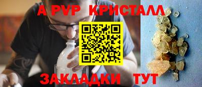 твердый Кингисепп