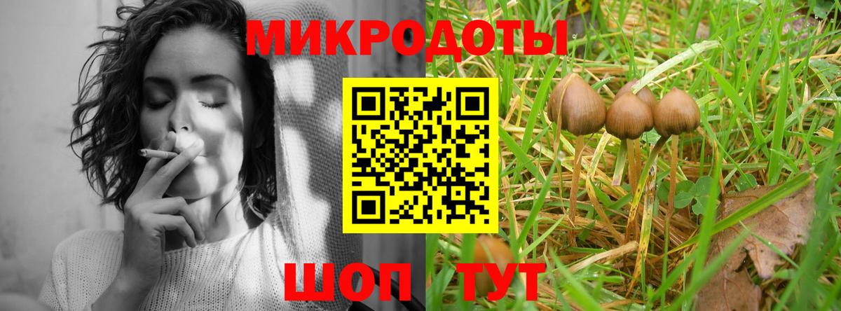 Галлюциногенные грибы мухоморы  Галлюциногенные грибы Cubensis  Вход с VPN  цена наркотик  Котовск 