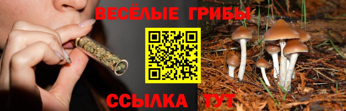Псилоцибиновые грибы Magic Shrooms Котовск